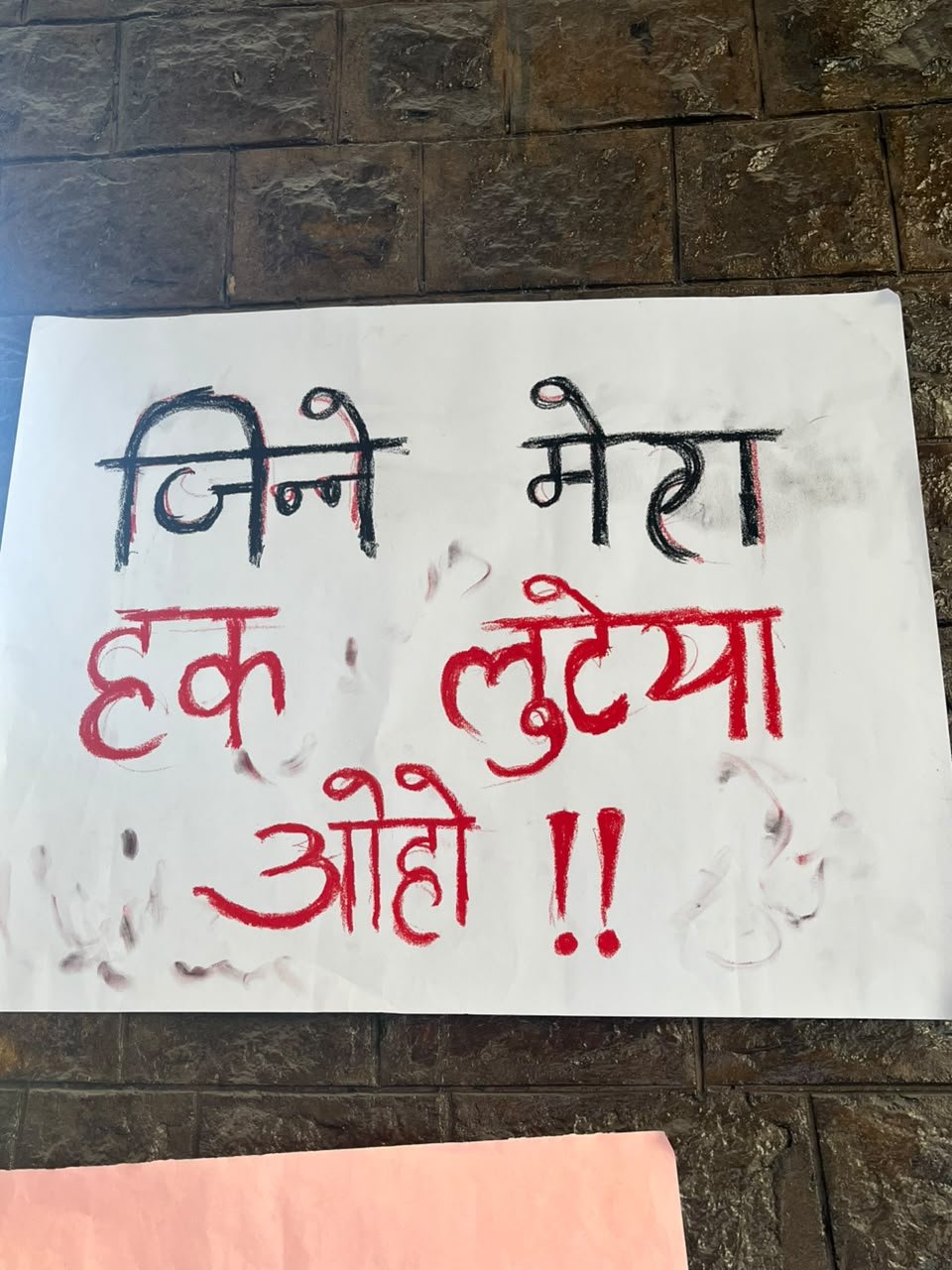 From The Hindu College dharna, photographed at Hindu College, New Delhi. In the Democracy by Design archive.